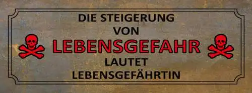 Schild Die Steigerung Von Lebensgefahr Lautet Lebensgefährtin Ehe Liebe 27x10