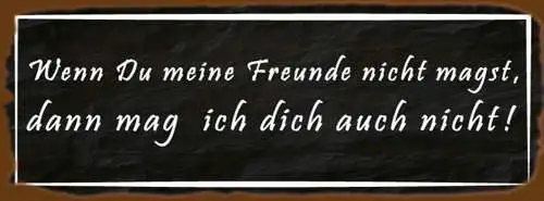 Schild Wenn Du Meine Freunde Nicht Magst Dann Mag Ich Dich Auch Nicht 27x10