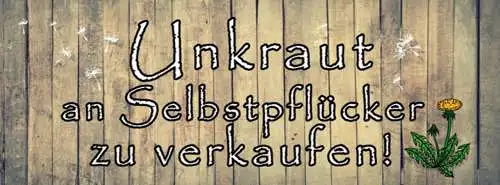 Schild Unkraut An Selbstpflücker Zu Verkaufen Pflanzen 27 x 10 Blech od. Holz
