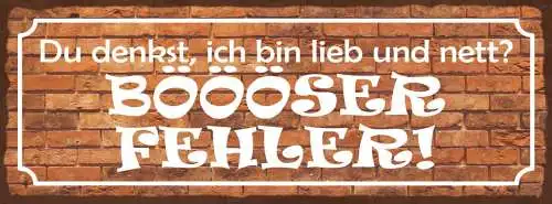 Schild Du Denkst Ich Bin Lieb & Nett Böööser Fehler Böse 27x10 Blech od.Holz