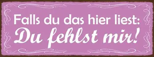 Schild Falls Du Das Hier Liest Du Fehlst Mir Vermissen Liebe 27x10 Blech od.Holz