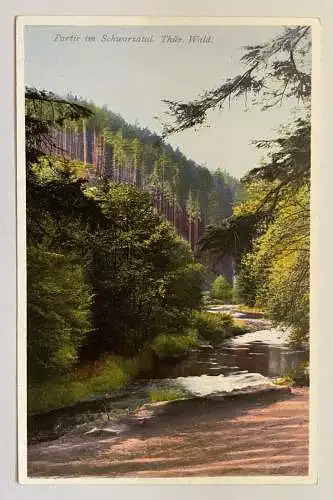 Partie Im Schwarzwald Thüringen Wald Fluss Baum Deutschland 180194 K TH