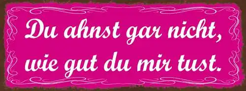 Schild Du Ahnst Gar Nicht Wie Gut Du Mir Tust Liebe Paar 27x10 Blech od.Holz
