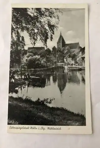 Eulenspiegel, Stadt, Mölln, Mühlenteich (110332 BW)