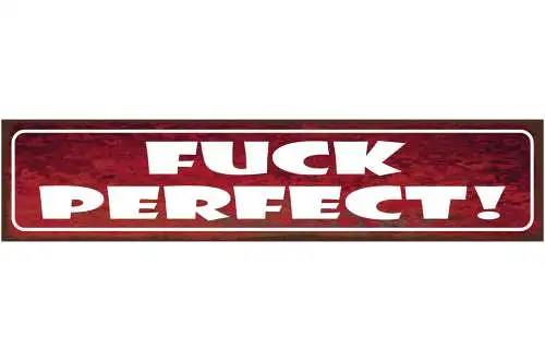 Schild Fuck Perfect Perfekt Imperfekt Fehler Unvollkommen 46 x 10 Blech od. Holz