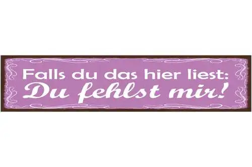 Schild Falls Du Das Hier Liest Du Fehlst Mir Liebe Vermissen 46x10 Blech od.Holz