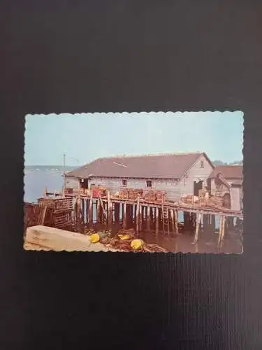 Lobster Wharf  400353  F