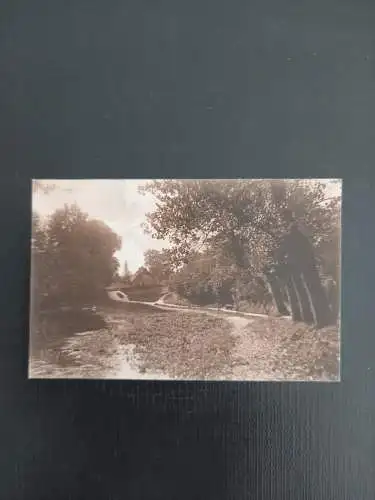 Landschaft Wald  400838 gr A