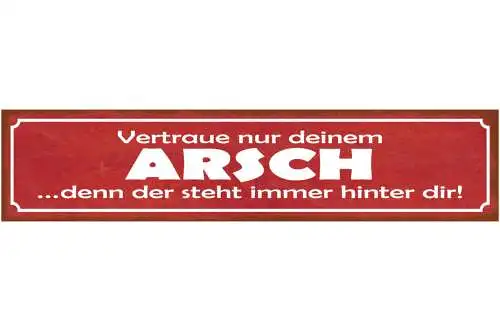 Schild Vertraue Nur Deinem Arsch Denn Der Steht Immer Hinter Dir Hintern 46 x 10