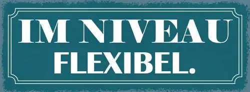 Schild Im Niveau Flexibel Charakter Leben 27x10 Blech od.Holz