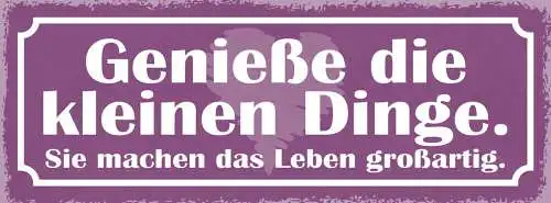 Schild Genieße Die Kleinen Dinge Sie Machen Das Leben Großartig 27x10