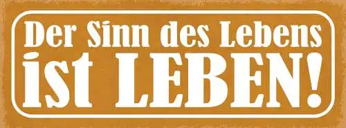 Schild Der Sinn Des Lebens Ist Leben Spaß Haben Weisheit 27x10 Blech od.Holz