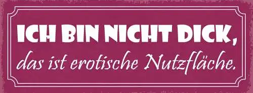 Schild Ich Bin Nicht Dick Das Ist Erotische Nutzfläche 27x10 Blech od.Holz