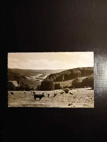 Waldwiese bei Niedersfeld Wiemeringhausen 400328 gr F