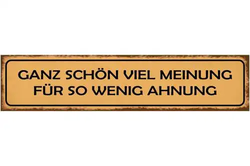 Schild Meinung Wenig Ahnung Wissen Verständnis Ansicht 46 x 10 Blech od. Holz