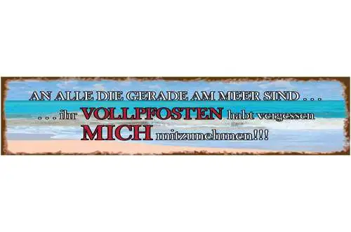 Schild Meer Urlaub Ferien Sand Strand Süden Vollpfosten 46 x 10 Blech od. Holz