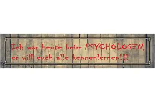 Schild Psychologen Euch Kennenlernen Verrückt Therapie 46 x 10 Blech od. Holz