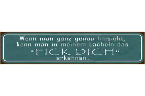 Schild Falsches Lächeln Fick Dich Heucheln Egal So Tun Als 46 x 10 Blech od.Holz