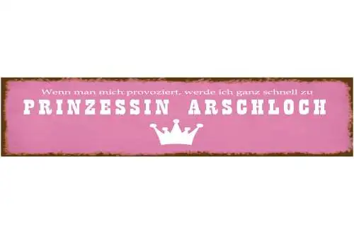 Schild Prinzessin Arschloch Provozieren Wütend Charakter 46 x 10 Blech od. Holz
