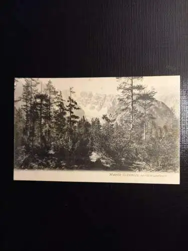 Monte Christallo 400247 gr F