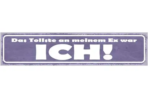 Schild Das Tollste An Meinem Ex War Ich Ehe Beziehung 46 x 10 Blech od. Holz