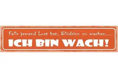 Schild Falls Jemand Lust Hat Blödsinn Zu Machen Ich Bin Wach 46 x 10