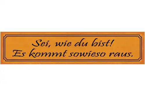 Schild Sei Wie Du Bist Es Kommt Sowieso Raus Einmalig 46 x 10 Blech od. Holz