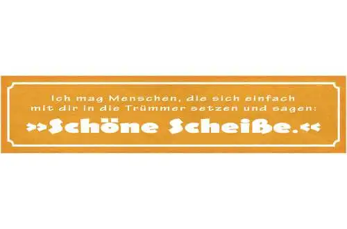 Schild Menschen Die Sich Einfach Mit Dir In Die Trümmer Setzen Schöne Scheiße