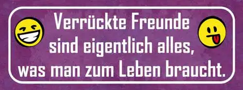Schild Verrückte Freunde Sind Eigentlich Alles Was Man Zum Leben Braucht 27x10
