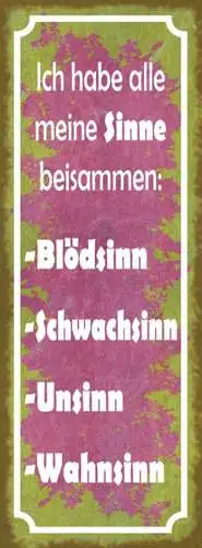 Schild Ich Habe Alle Meine Sinne Beisammen Blödsinn Unsinn 27x10 Blech od.Holz