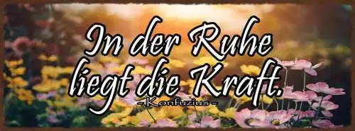 Schild In Der Ruhe Liegt Die Kraft Konfozius Hektik Stress 27x10 Blech od.Holz