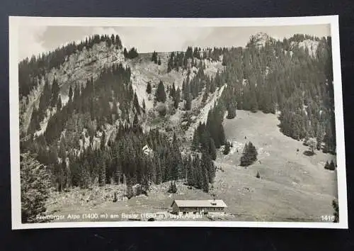 Freiburger Alpe am Bester - Oberstdorf - Bayr. Allgäu - Deutschland 400313 TH F