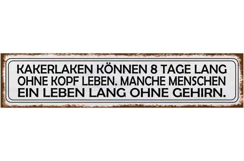 Schild Kakerlaken Kopf Menschein Kein Gehirn Dumm Blöd 46 x 10 Blech od. Holz