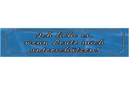 Schild Leute Unterschätzen Selbstvertrauen Können Wissen 46 x 10 Blech od. Holz