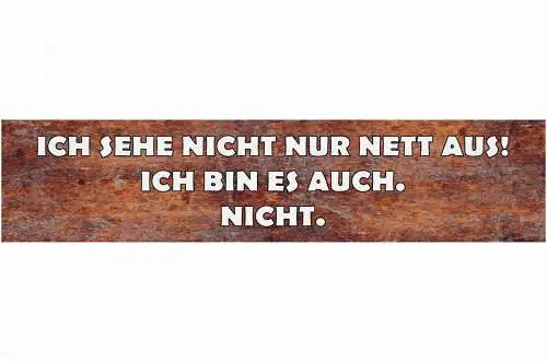 Schild Nett Aussehen Freundlich Zuvorkommend  Hilfsbereit 46 x 10 Blech od. Holz