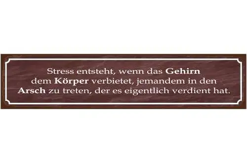 Schild Stress Entsteht Gehirn Hintern Tritt Ärger Frust 46 x 10 Blech od. Holz