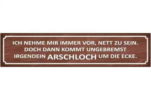 Schild Vorsatz Plan Nett Freundlich Arschloch Ärger Frust 46 x 10 Blech od. Holz