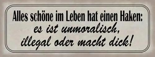 Schild Alles Schöne Leben Hat Einen Haken Unmoralisch Illegal Macht Dick 27x10