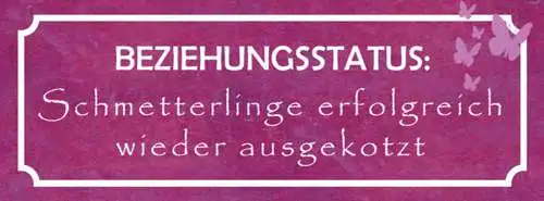 Schild Beziehungsstatus Schmetterlinge Erfolgreich Wieder Ausgekotzt 27x10
