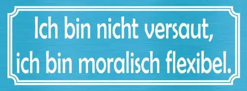 Schild Ich Bin Nicht Versaut Ich Bin Moralisch Flexibel 27x10 Blech od.Holz