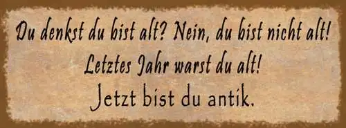Schild Du Denkst Du Bist Alt Nein Letztes Jahr Warst Du Alt Jetzt Antik 27x10