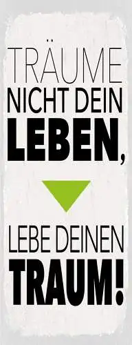 Schild Träume Nicht Dein Leben Lebe Deinen Traum Wunsch 27x10 Blech od.Holz