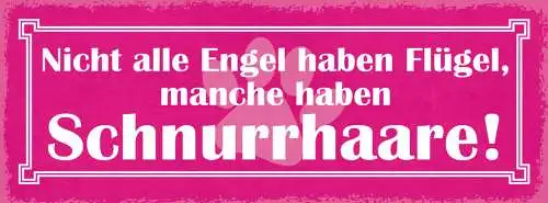 Schild Nicht Alle Engel Haben Flügel Manche Haben Schnurrhaare Katze Tier 27x10