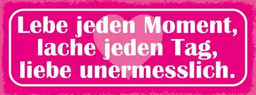 Schild Lebe Jeden Moment Lache Jeden Tag Liebe Unermesslich 27x10 Blech od.Holz