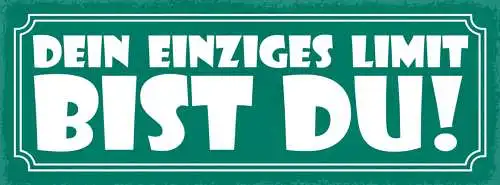Schild Dein Einziges Limit Bist Du Leben Arbeit Sport 27x10 Blech od.Holz