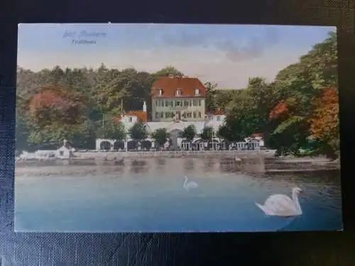 Bad Neuheim Teichhaus Schwäne See Wald 402573 WM F