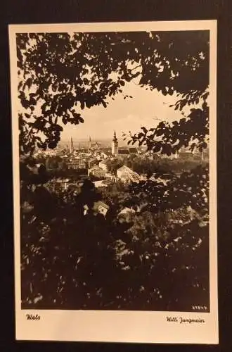 Wels Willi Jungmeier 600759A Ga G