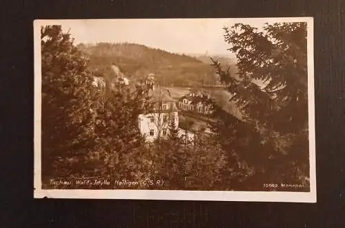 Tschau Wald Idylle 800122 Ga G