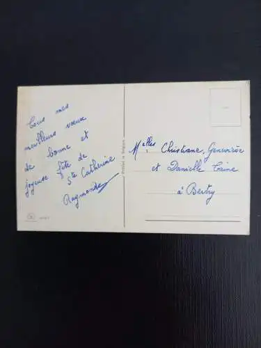 Blumenstrauß 401171 gr