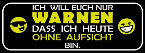 Schild Ich Will Euch Nur Warnen Dass Ich Heute Ohne Aufsicht Bin 27 x 10